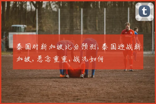 泰国对新加坡比分预测,泰国迎战新加坡,悬念重重,战况如何