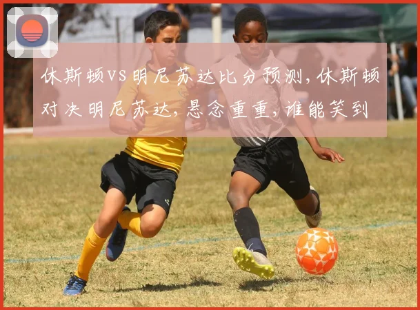 休斯顿vs明尼苏达比分预测,休斯顿对决明尼苏达,悬念重重,谁能笑到最后