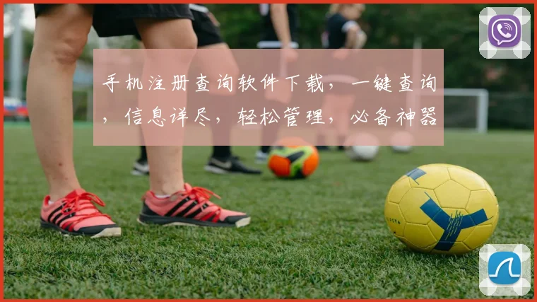 手机注册查询软件下载，一键查询，信息详尽，轻松管理，必备神器，不容错过