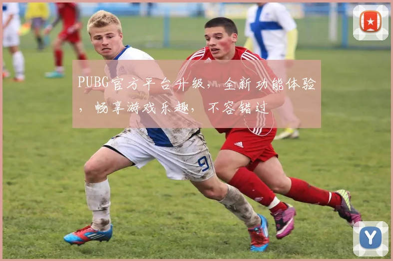 PUBG官方平台升级，全新功能体验，畅享游戏乐趣，不容错过